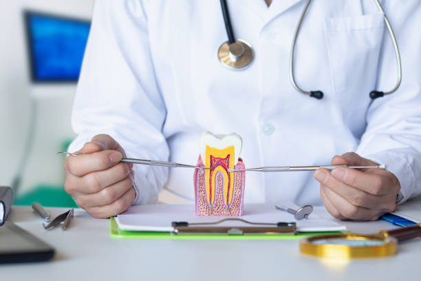 Best Weekend Emergency Dentist in Wood Ridge, NJ